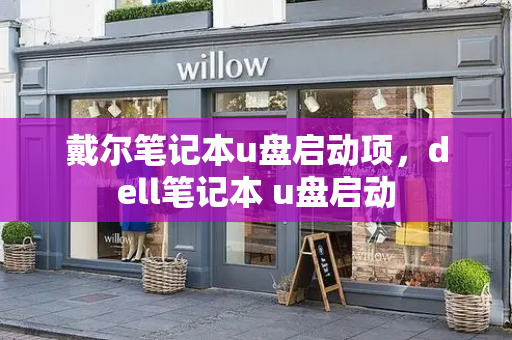 戴尔笔记本u盘启动项，dell笔记本 u盘启动