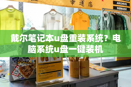 戴尔笔记本u盘重装系统？电脑系统u盘一键装机