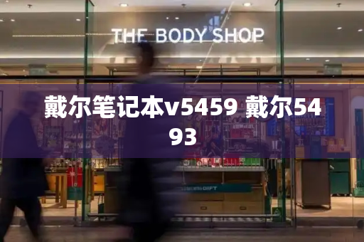 戴尔笔记本v5459 戴尔5493