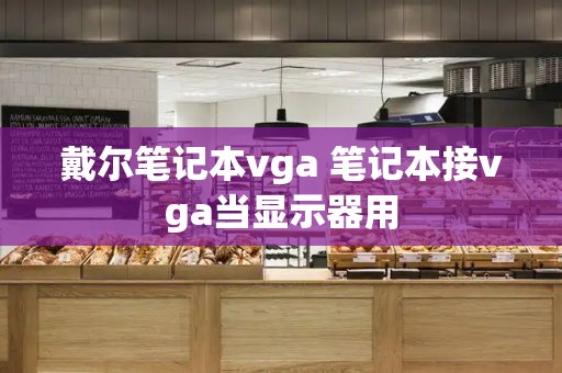 戴尔笔记本vga 笔记本接vga当显示器用