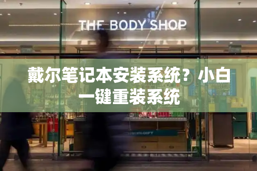 戴尔笔记本安装系统？小白一键重装系统-第1张图片-星选测评