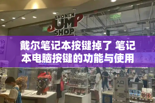戴尔笔记本按键掉了 笔记本电脑按键的功能与使用-第1张图片-星选测评