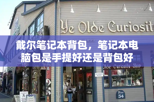 戴尔笔记本背包，笔记本电脑包是手提好还是背包好-第1张图片-星选测评