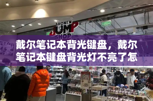 戴尔笔记本背光键盘，戴尔笔记本键盘背光灯不亮了怎么办-第1张图片-星选测评
