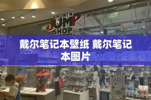 戴尔笔记本壁纸 戴尔笔记本图片-第1张图片-星选测评