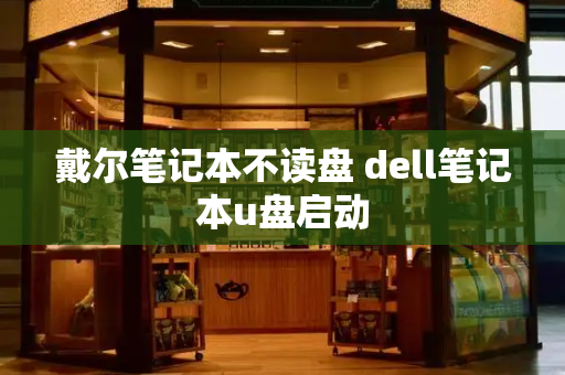 戴尔笔记本不读盘 dell笔记本u盘启动