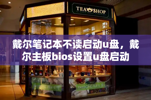 戴尔笔记本不读启动u盘，戴尔主板bios设置u盘启动