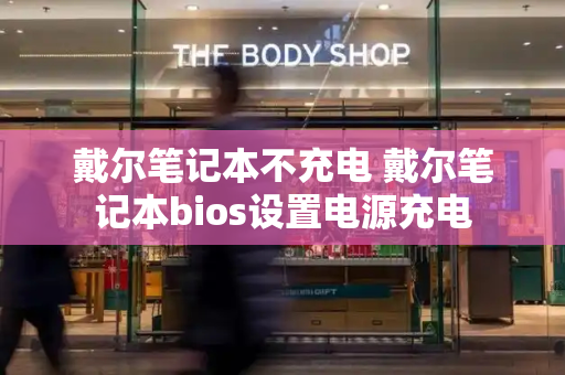 戴尔笔记本不充电 戴尔笔记本bios设置电源充电-第1张图片-星选测评