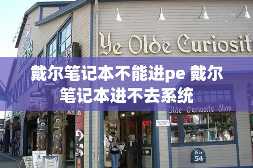 戴尔笔记本不能进pe 戴尔笔记本进不去系统-第1张图片-星选测评