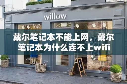 戴尔笔记本不能上网，戴尔笔记本为什么连不上wifi-第1张图片-星选测评