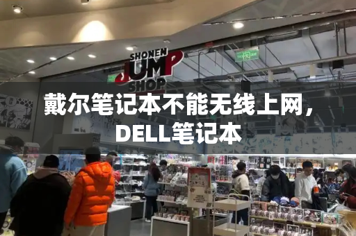 戴尔笔记本不能无线上网，DELL笔记本-第1张图片-星选测评