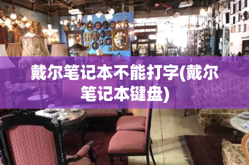 戴尔笔记本不能打字(戴尔笔记本键盘)-第1张图片-星选测评
