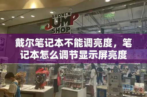 戴尔笔记本不能调亮度，笔记本怎么调节显示屏亮度-第1张图片-星选测评