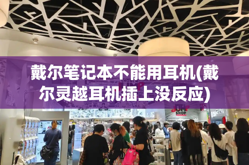 戴尔笔记本不能用耳机(戴尔灵越耳机插上没反应)-第1张图片-星选测评