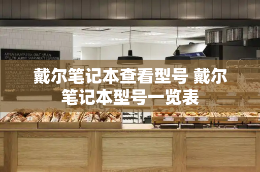 戴尔笔记本查看型号 戴尔笔记本型号一览表-第1张图片-星选测评