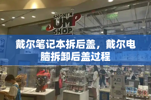 戴尔笔记本拆后盖，戴尔电脑拆卸后盖过程-第1张图片-星选测评