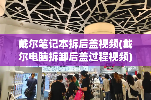 戴尔笔记本拆后盖视频(戴尔电脑拆卸后盖过程视频)-第1张图片-星选测评