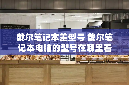 戴尔笔记本差型号 戴尔笔记本电脑的型号在哪里看-第1张图片-星选测评
