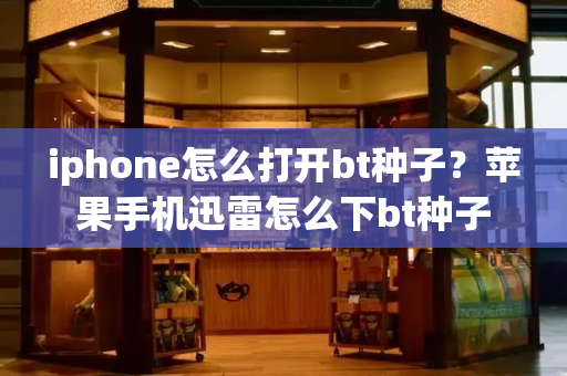 iphone怎么打开bt种子？苹果手机迅雷怎么下bt种子-第1张图片-星选测评
