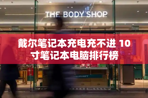戴尔笔记本充电充不进 10寸笔记本电脑排行榜