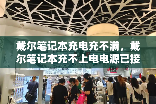 戴尔笔记本充电充不满，戴尔笔记本充不上电电源已接通