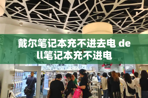 戴尔笔记本充不进去电 dell笔记本充不进电