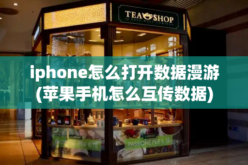iphone怎么打开数据漫游(苹果手机怎么互传数据)
