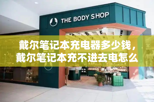 戴尔笔记本充电器多少钱，戴尔笔记本充不进去电怎么回事-第1张图片-星选测评