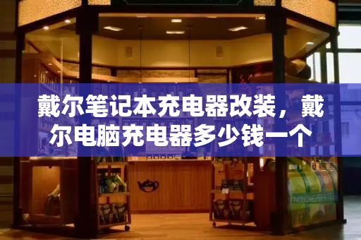 戴尔笔记本充电器改装，戴尔电脑充电器多少钱一个-第1张图片-星选测评