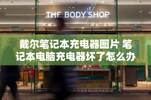 戴尔笔记本充电器图片 笔记本电脑充电器坏了怎么办-第1张图片-星选测评