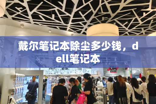 戴尔笔记本除尘多少钱，dell笔记本-第1张图片-星选测评