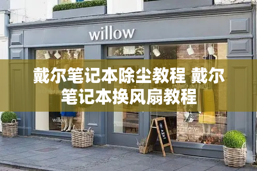 戴尔笔记本除尘教程 戴尔笔记本换风扇教程-第1张图片-星选测评