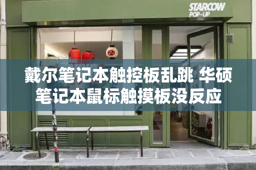 戴尔笔记本触控板乱跳 华硕笔记本鼠标触摸板没反应-第1张图片-星选测评