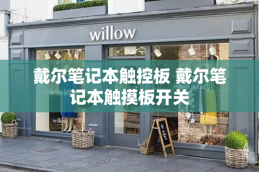 戴尔笔记本触控板 戴尔笔记本触摸板开关-第1张图片-星选测评