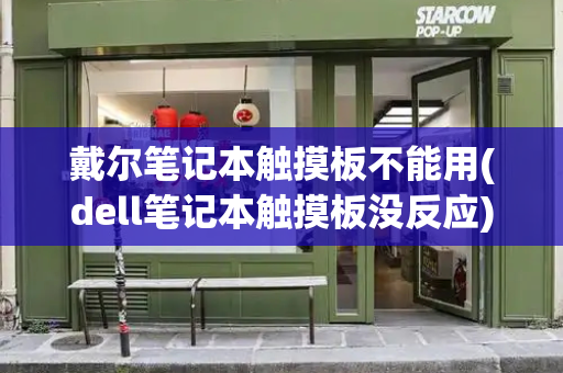 戴尔笔记本触摸板不能用(dell笔记本触摸板没反应)-第1张图片-星选测评