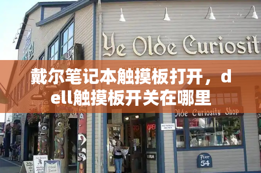 戴尔笔记本触摸板打开，dell触摸板开关在哪里