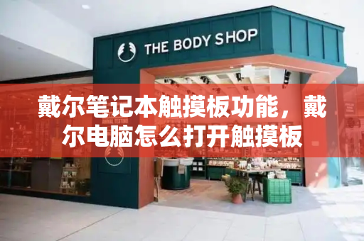 戴尔笔记本触摸板功能，戴尔电脑怎么打开触摸板-第1张图片-星选测评