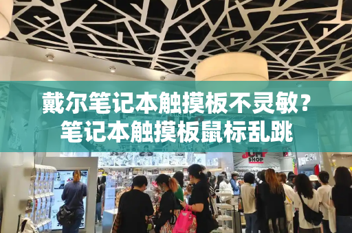 戴尔笔记本触摸板不灵敏？笔记本触摸板鼠标乱跳