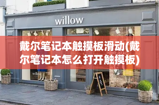 戴尔笔记本触摸板滑动(戴尔笔记本怎么打开触摸板)