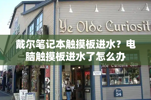 戴尔笔记本触摸板进水？电脑触摸板进水了怎么办