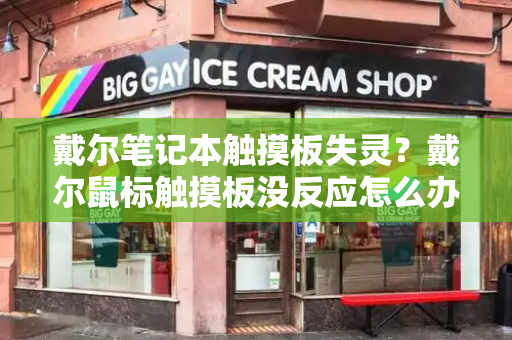 戴尔笔记本触摸板失灵？戴尔鼠标触摸板没反应怎么办