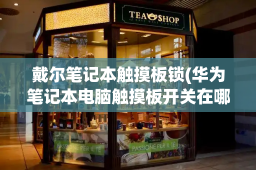 戴尔笔记本触摸板锁(华为笔记本电脑触摸板开关在哪)-第1张图片-星选测评