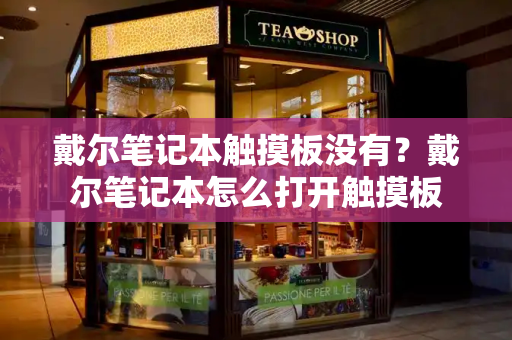 戴尔笔记本触摸板没有？戴尔笔记本怎么打开触摸板