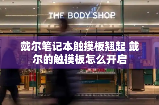 戴尔笔记本触摸板翘起 戴尔的触摸板怎么开启