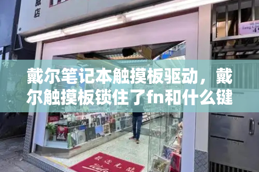 戴尔笔记本触摸板驱动，戴尔触摸板锁住了fn和什么键