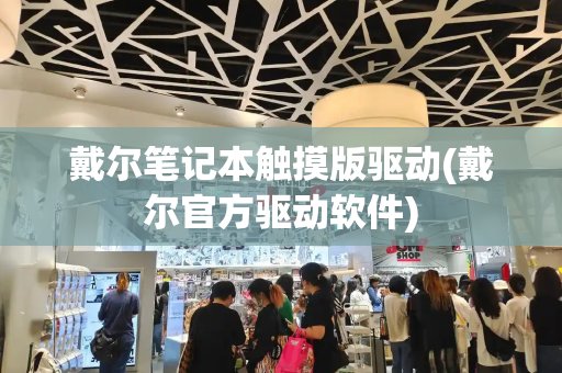 戴尔笔记本触摸版驱动(戴尔官方驱动软件)