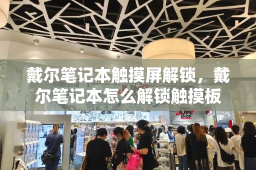 戴尔笔记本触摸屏解锁，戴尔笔记本怎么解锁触摸板