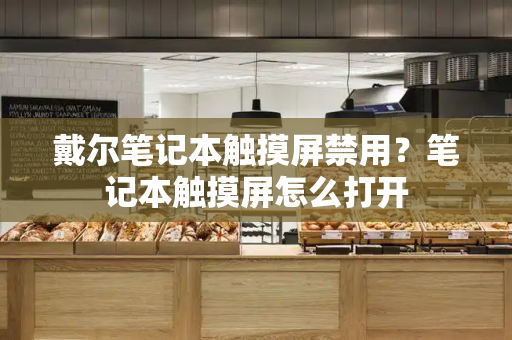 戴尔笔记本触摸屏禁用？笔记本触摸屏怎么打开