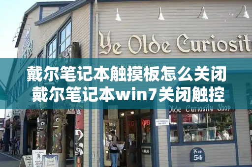 戴尔笔记本触摸板怎么关闭 戴尔笔记本win7关闭触控板-第1张图片-星选测评