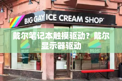 戴尔笔记本触摸驱动？戴尔显示器驱动-第1张图片-星选测评